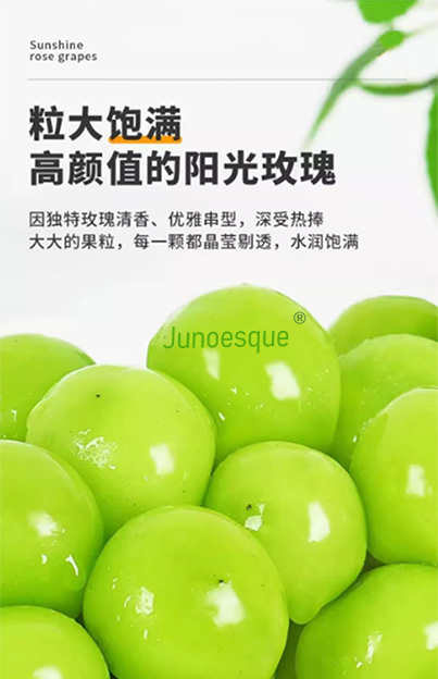 junoesque阳光玫瑰